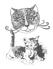 Color the Cats Adult coloring book 108 Pages 8.5 x 11 for All Ages