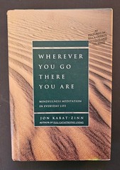 Wherever You Go There You Are: Mindfulness Meditation, Hardcover Jon Kabat-Zinn