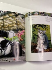 Cats 24/7 Extraordinary Photographs Of Wonderful Cats 2005 Hardcover 190 Pages