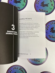 The Shadow Work Journal: A Guide to Integrate and Transcend (New) Work Book