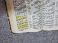 Holy Bible (KJV) Reference Edition 1972 Red Letter, Leather, Thomas Nelson 586BG