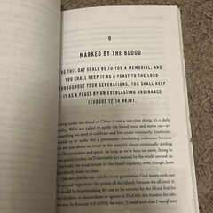 Steve Kang 8 Hours in Hell (Paperback) Nde Collection
