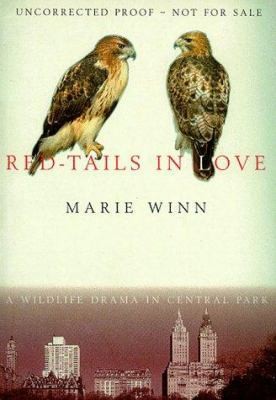 Red Tails In Love a Wildlife Drama In Ce by Marie Winn
