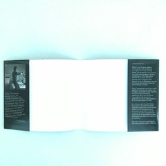 Staging Pictures Early Polaroids Robert Stivers Signed 1st Ed 2017 Ltd 450 HC DJ