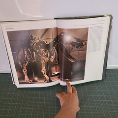 Dinosaurs & Other Prehistoric Animals Book 448 Pages Amber Books