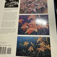 Pastel Interpretations by Madlyn-Ann C. Woolwich (1993, Hardcover)