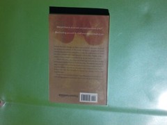 WHEN I FOUND YOU A NOVEL BY CATHERINE RYAN HYDE 2013 AMAZON PUBLISHING 399 PAGES