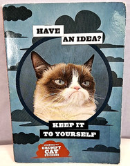 Grumpy Cat Journal w/Stickers 192 Pages Pre Owned Unused