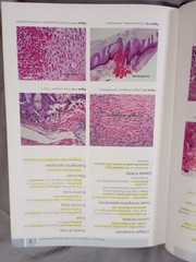 Requisite In Dermatology Dermatopathology 2009 Saunders Elsevier