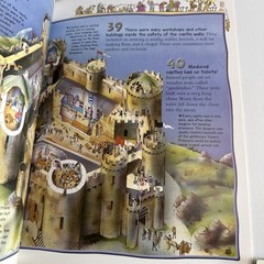 100 Facts Large Picture Book Lot 6 Miles Kelly Ages 7-11 Grades 1-5 Homeschool