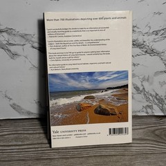 A Field Guide to Long Island Sound by Patrick J. Lynch Paperback Yale Uni. Press