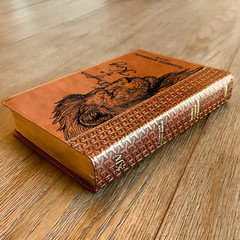 Personalized KJV Study Bible, Daughter of a King Lion Design, Name Engraved