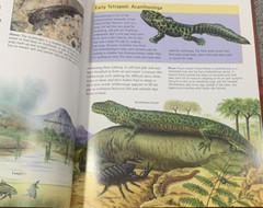 Complete Guide to Dinosaurs by Chris McNab – Hardcover – Velika Enciklopedija