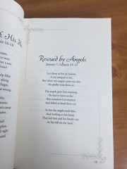 Christian Poetry Book A Year in Rhyme Signed by Author Henderson Paperback 2016