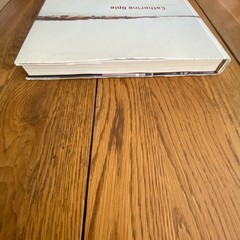 Catherine Opie: American Photographer Hardcover 2008