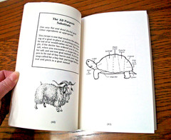 ILLINOIS’ ROAD KILL COOKBOOK~BRUCE CARLSON~PAPERBACK BOOK~108 PAGES~VERY GOOD~