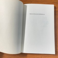 The Kundalini Experience: Psychosis or Transcendence by Lee Sannella, MD 1992 SC