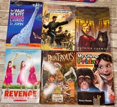 Lot of 28 Grade 3-6 Chapter Books Novels 14lbs / 39 Clues, ECHO , School of Fear