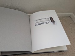 The Golden Era A Celebration of Light by G. Harvey HC DJ 1990 Art