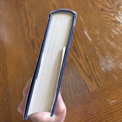 Psalm 119 By Charles Bridges HBDJ