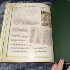 Ruth and the Green Book by Calvin Alexander Ramsey and Gwen Strauss (2010)