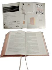 The Jesus Bible Pink with Gold In Box Louie Giglio Leather soft over board