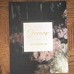 The Daily Grace Co. James: The Steadfast Life Schmucker PB 2017 Study Guide