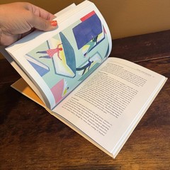 How to Raise a Reader Book Pamela Paul Maria Russo Parenting Guide