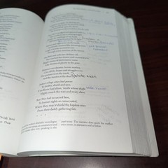 The New Anthology of American Poetry: Volume I: Traditions and Re