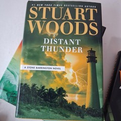 Sex Lies & Serious Money Distant Thunder Skin Game Stuart Woods Black HC Lot 3