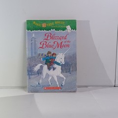 Magic Tree House Book Lot (13 Books) Mary Pope Osborne – Mixed Numbers