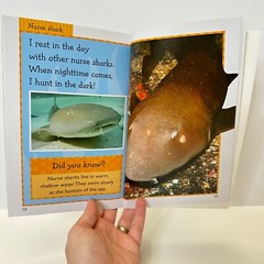 Sharks book by Sarah Creese, Reader (Paperback)