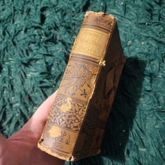 Antique Jules Verne Twenty Thousand Leagues Under the Sea