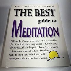 Crazy Wisdom by Wes Nisker (1990, Best Guide To Meditation Paperback Lot