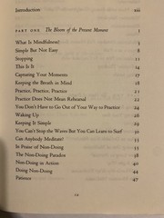 Wherever You Go There You Are Mindfulness Meditation by Jon Kabat-Zinn PB 1994