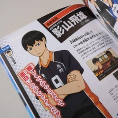 Haikyu!! Connect The View from the Top Quick Strategy Guide 2014 First Edition P