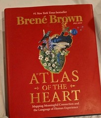 Atlas of the Heart (2021)/ Braving The Wilderness (2017 )by Brené Brown