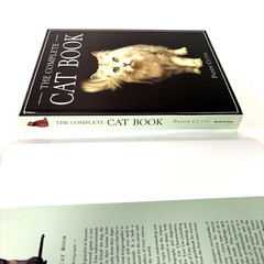 The Complete Cat Book by Paddy Cutts Hardcover First Edition 1994 With Cover