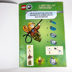 LEGO Jurassic World A New Era of Dinosaurs Book + Dr. Ellie Sattler Minifigure