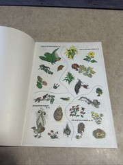 Vintage Australian Animals Sticker Fun Coloring Book 1983 New Unused