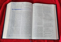 Freedom in Christ Bible New International Version Discovery Zondervan 2001 HB