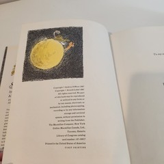 The Star Thief by Andrea DiNoto and Arnold Lobel 1st Printing Macmillan Company