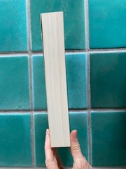 Travels in North America 1822-1824 Duke Paul Wilhelm of Wurttemberg PB
