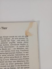 1963 Der Urmensch Was It Was von Donald Barr Deutsche Ausgabe von Otto Ehlert SC