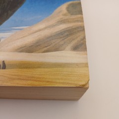 Dune, Frank Herbert, John Schoenherr Variant Art Cover, 1990 Ace, Paperback