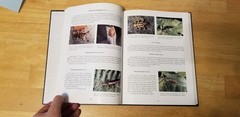 American stoneflies: A photographic guide to the Plecoptera by Bill P. Stark