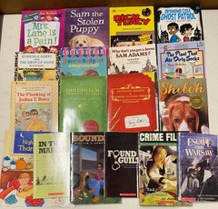 Lot of 18 Grade School Easy Chapter Several are former Classroom Books Paperback