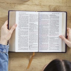 KJV Holy Bible: Personal Size Giant Print, Brown Leathersoft, Red Letter,…