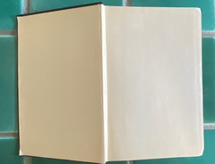 The Truth about the Treaty by Andre Tardieu 1921 Bobbs-Merrill HC hardcover