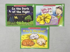 Lot Of 24 Scholastic Little Leveled Readers C And D